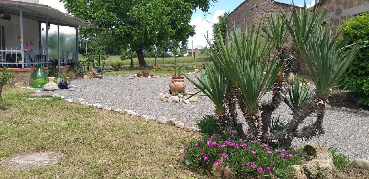 Bed and Breakfast La Cascina Della Grotta Di Tufo San Valentino  Exterior foto
